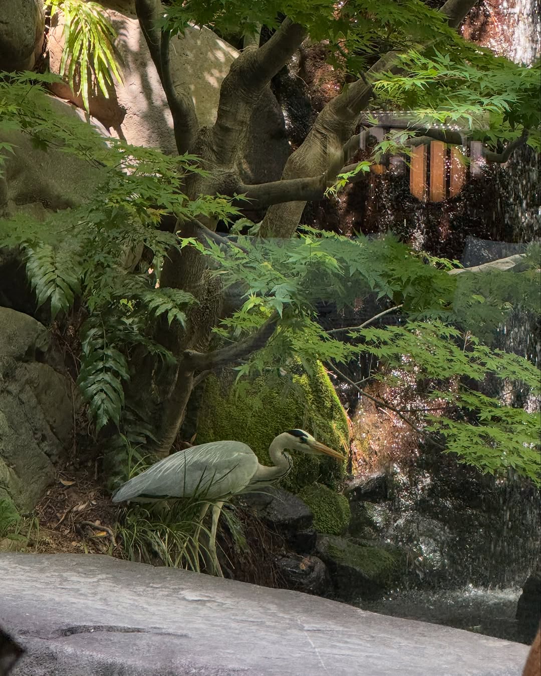 Thumbnail of www-instagram-com-p-djvffxvn5mv 10