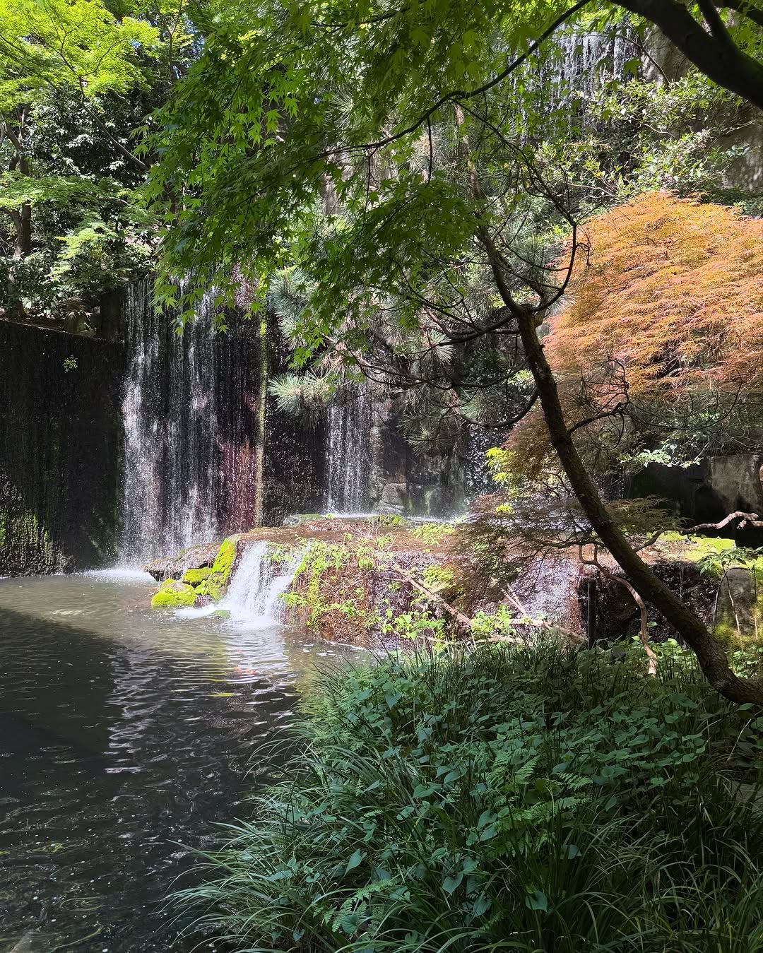 Thumbnail of www-instagram-com-p-djvffxvn5mv 8