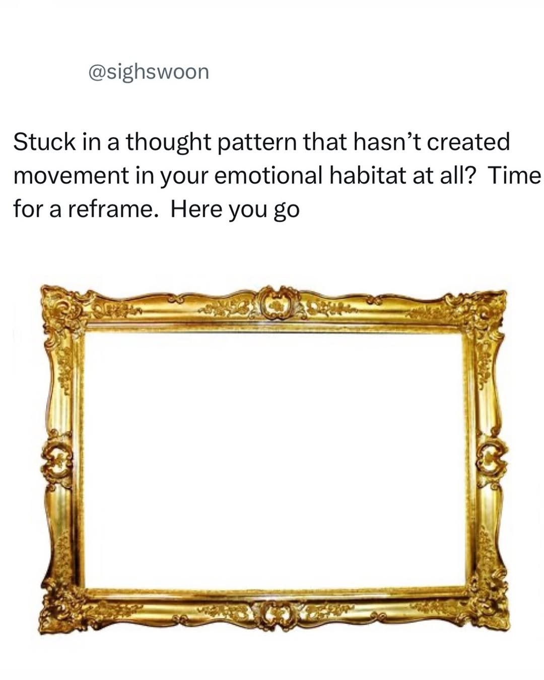 Thumbnail of www-instagram-com-p-dczz417t5he-hl-en-img-index-1 8