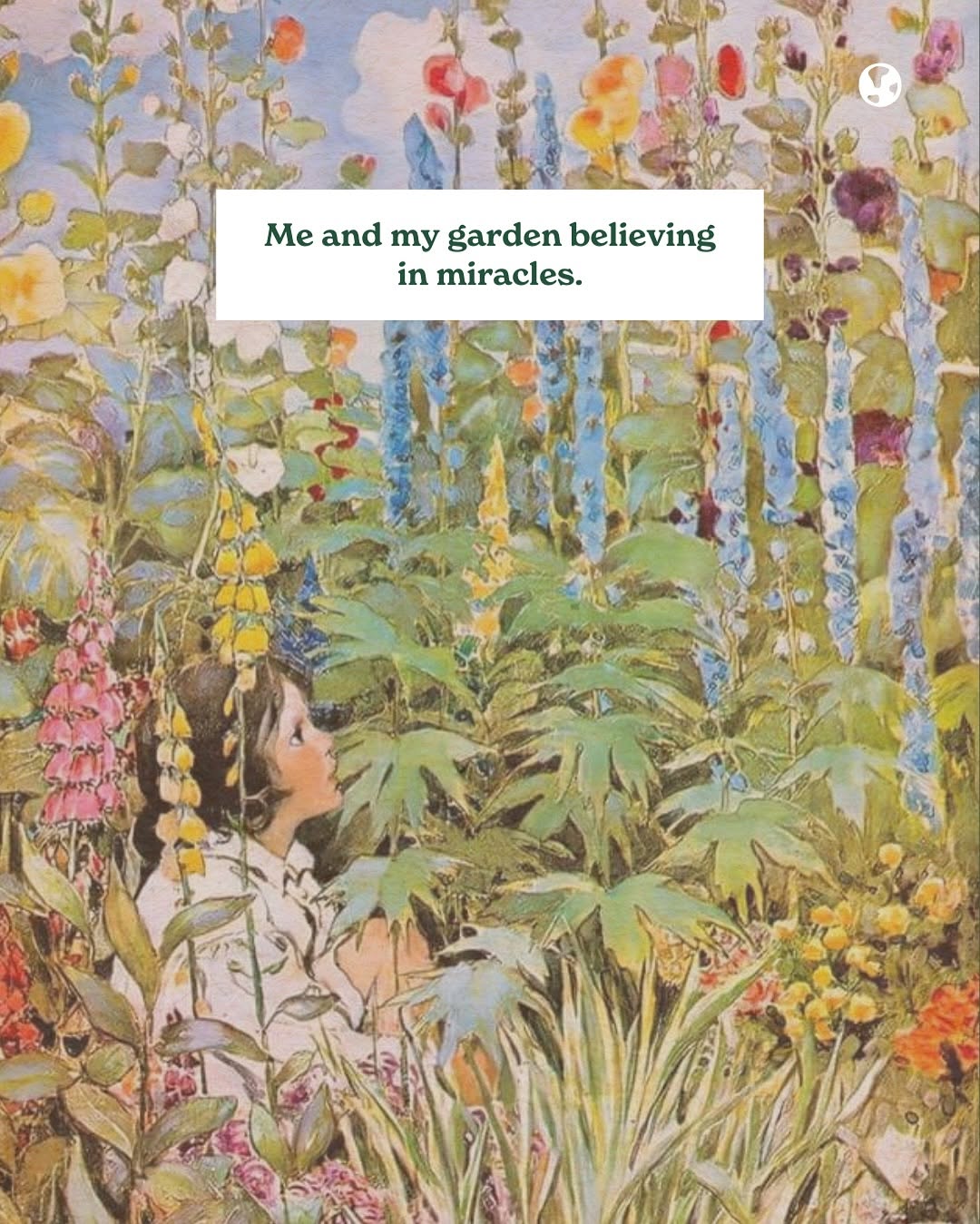 Thumbnail of p-dkssffpkfmt-0f5ec24388eb4239 2