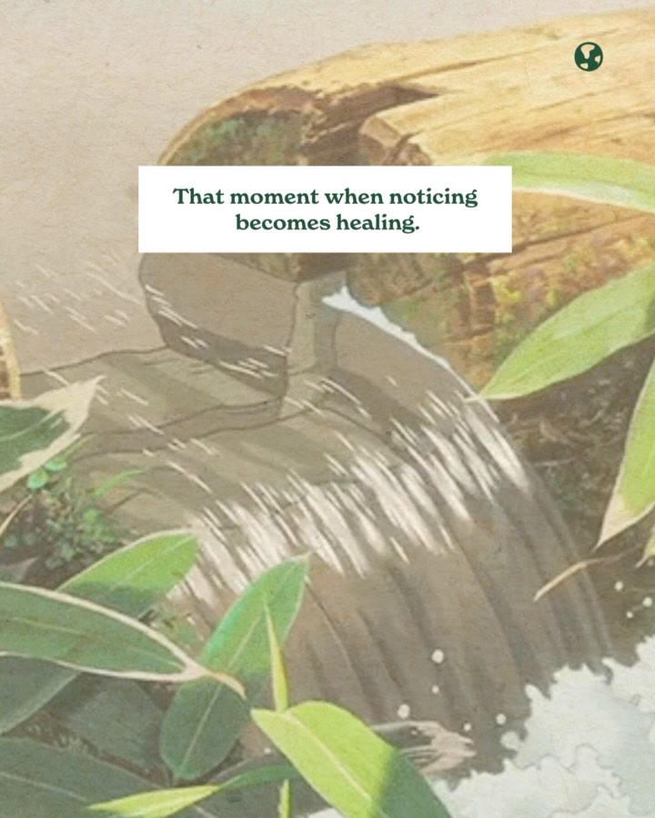 Thumbnail of p-dkssffpkfmt-0f5ec24388eb4239 3