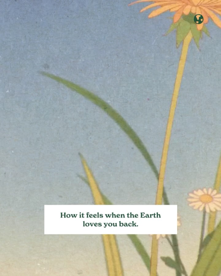 Thumbnail of p-dkssffpkfmt-0f5ec24388eb4239 4