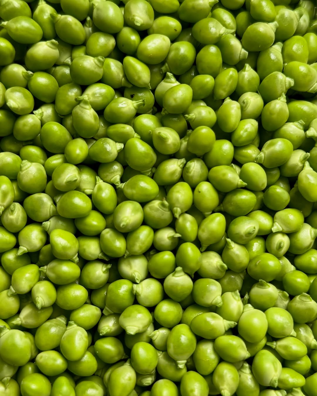 Thumbnail of www-instagram-com-p-dlcjjd4n4wd 3