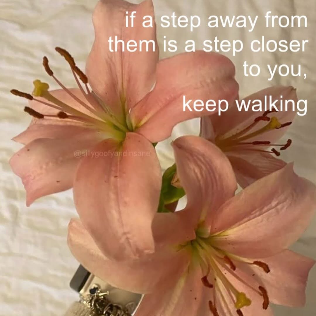 Thumbnail of www-instagram-com-p-dlaknjjot6k 0