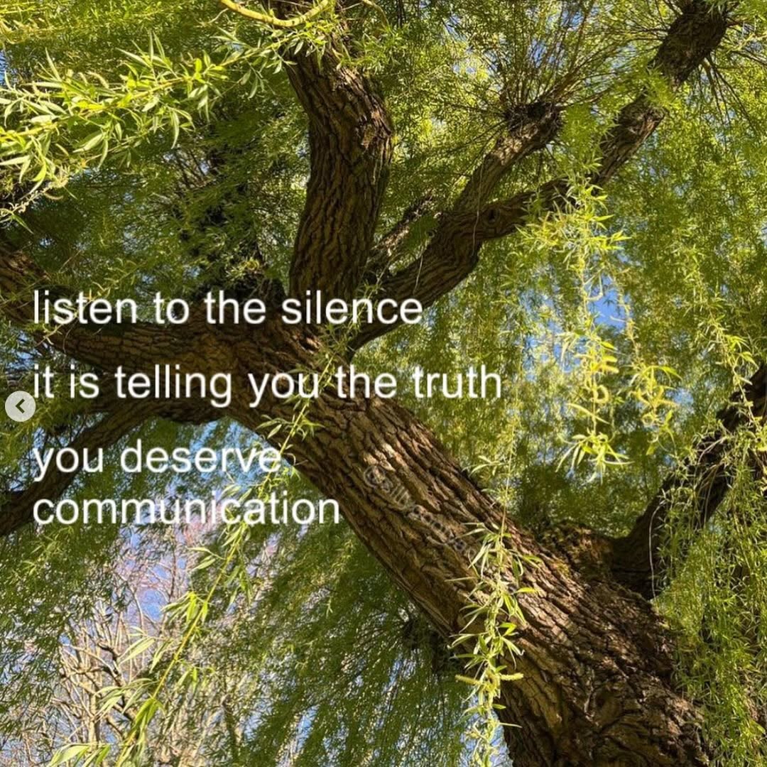 Thumbnail of www-instagram-com-p-dlaknjjot6k 8