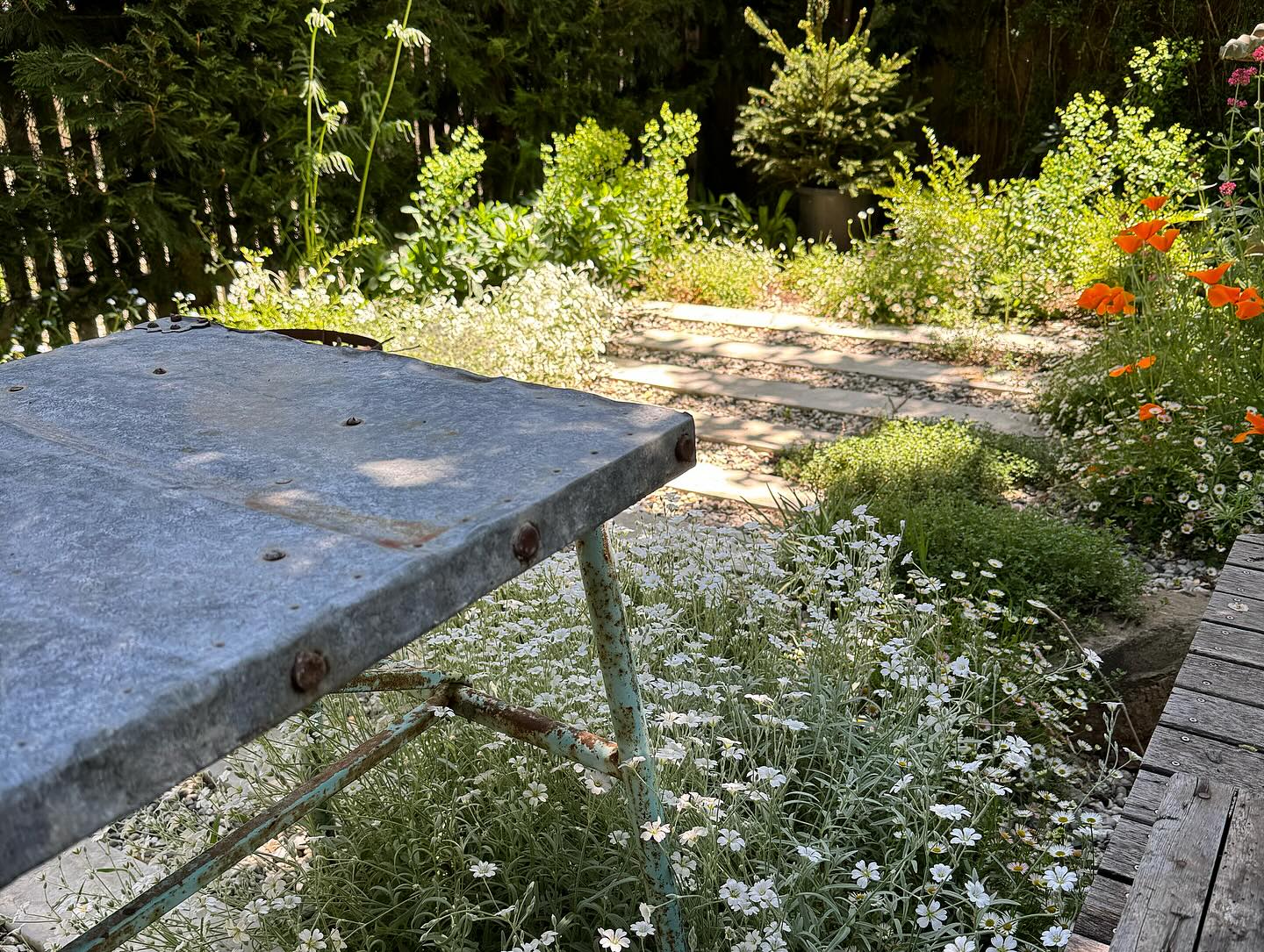 Thumbnail of p-czjw0c7bjpe-36714433b49340ed 1