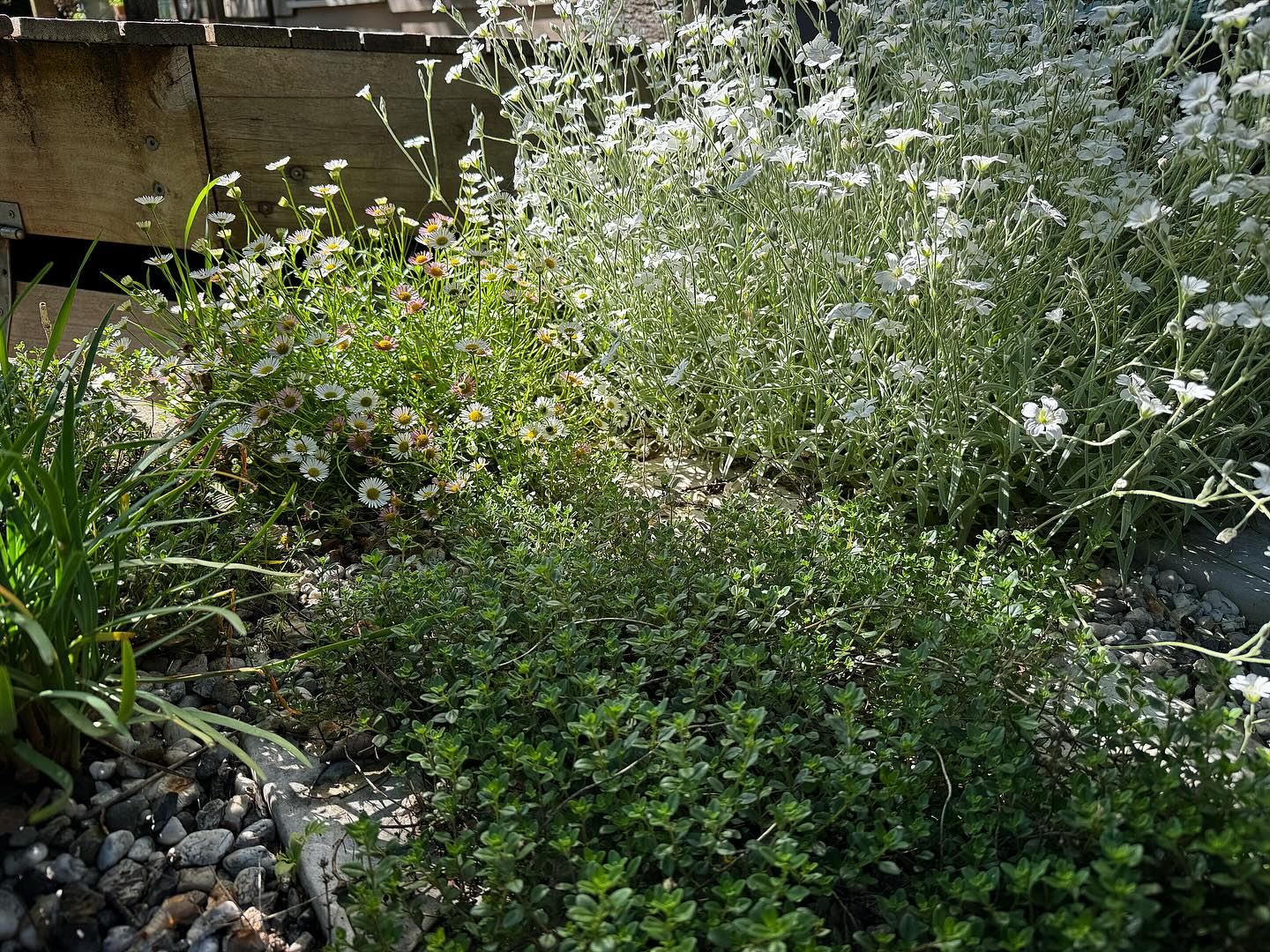 Thumbnail of p-czjw0c7bjpe-36714433b49340ed 2