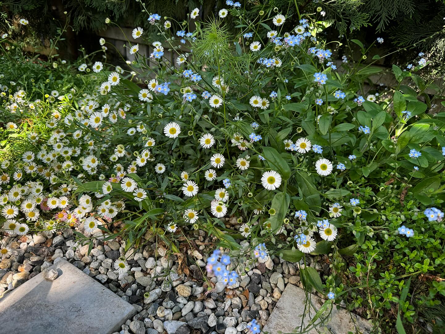 Thumbnail of p-czjw0c7bjpe-36714433b49340ed 3