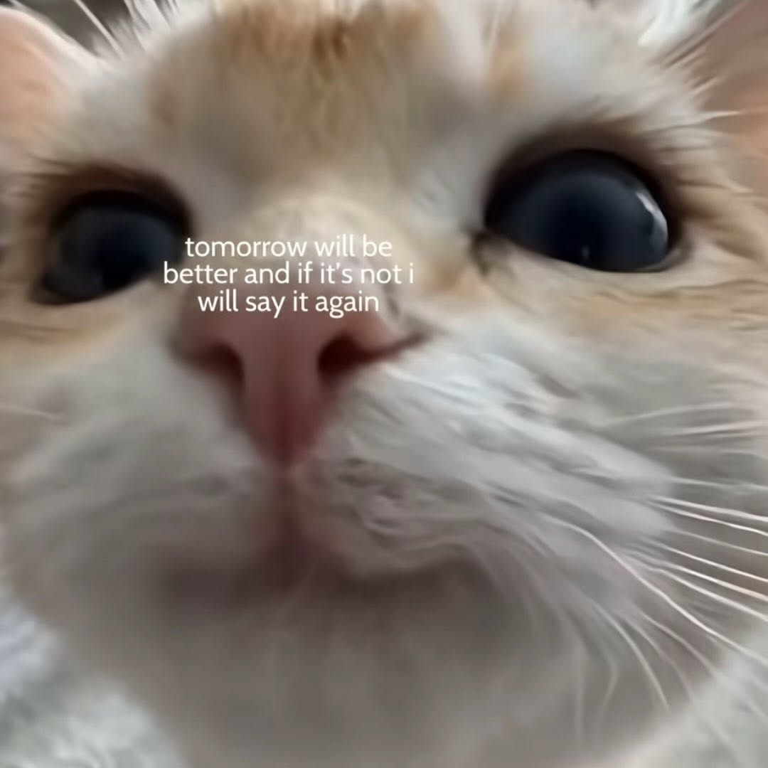 Thumbnail of www-instagram-com-p-dl8ryksxjcm 10