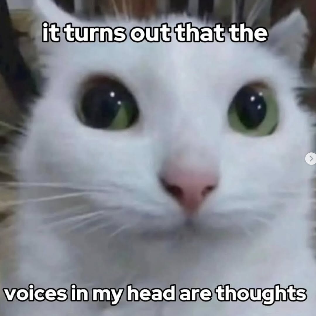 Thumbnail of www-instagram-com-p-dl8ryksxjcm 2