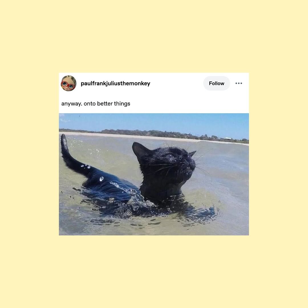 Thumbnail of www-instagram-com-p-dl8ryksxjcm 3