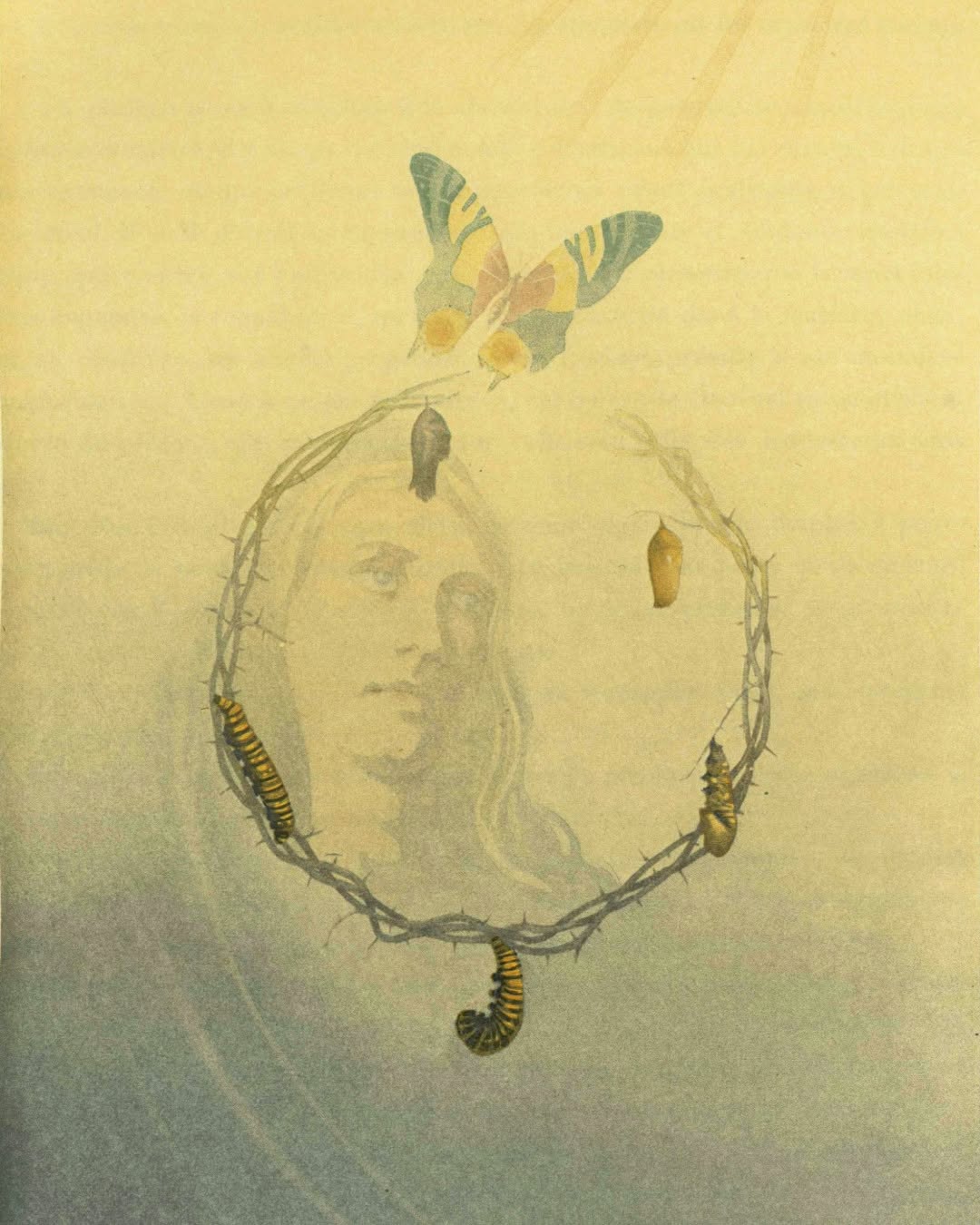 Thumbnail of www-instagram-com-p-dmnyytzzo2o 4