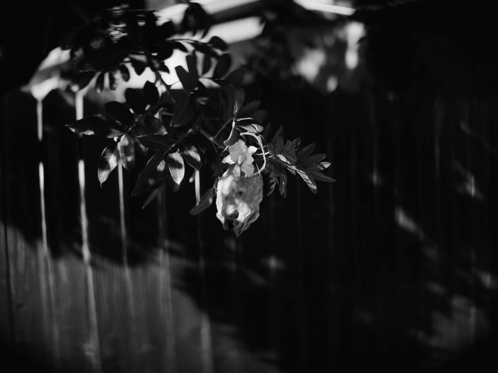 Thumbnail of www-instagram-com-p-dmicsn0me2j 4