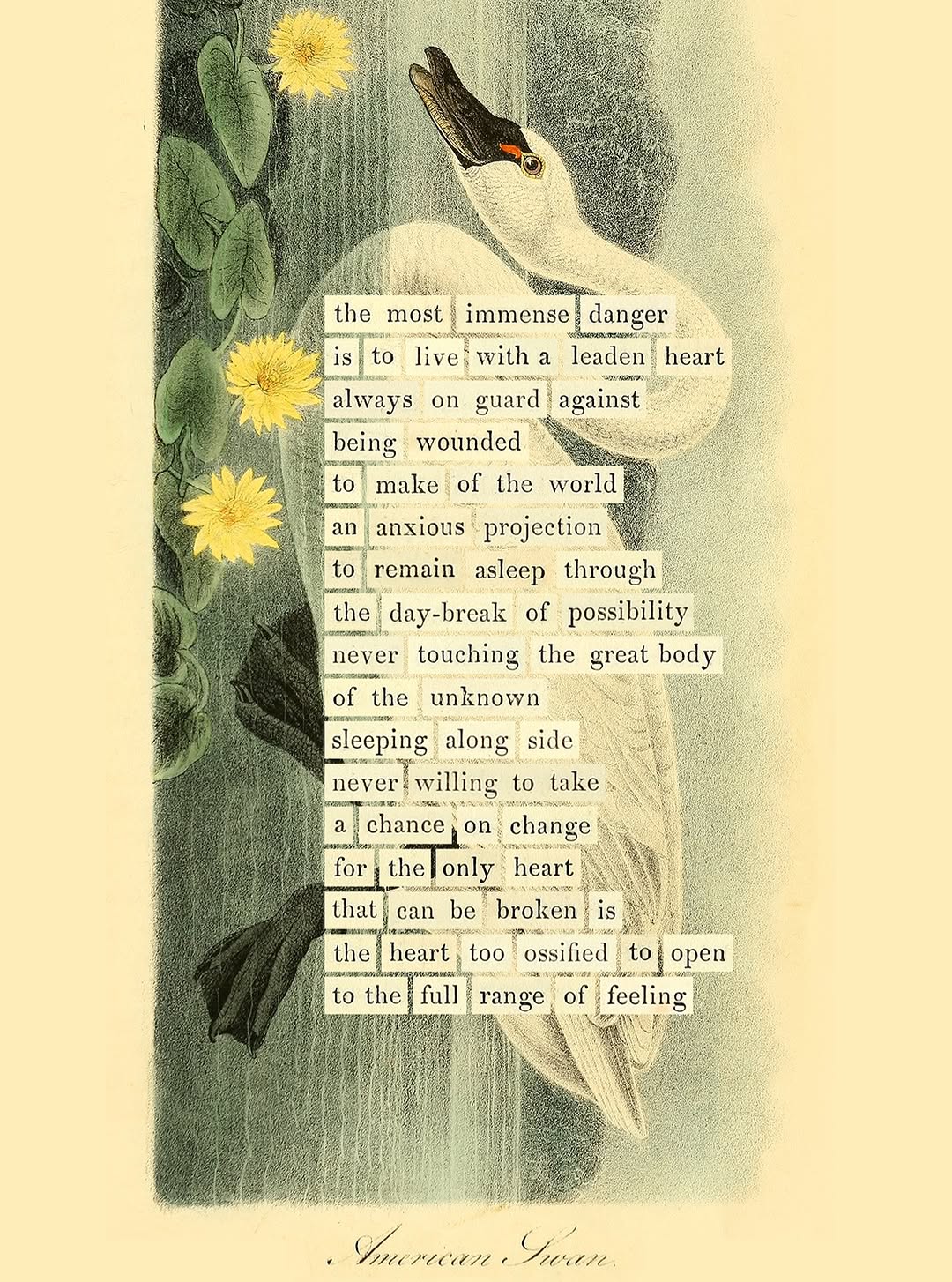 Thumbnail of www-instagram-com-p-dm0zzpoyw-9 0