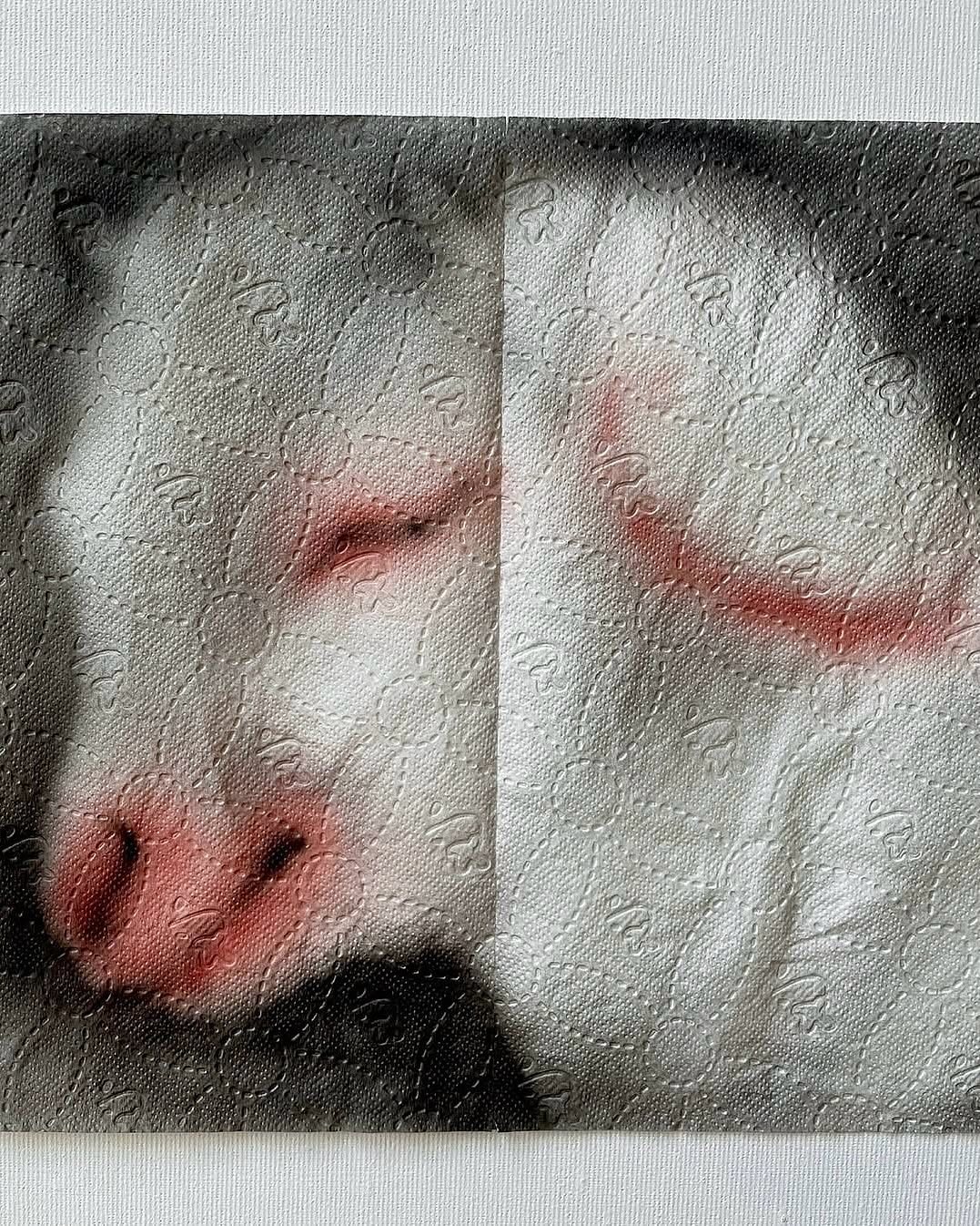 Thumbnail of www-instagram-com-p-dnehd3pieh9 0