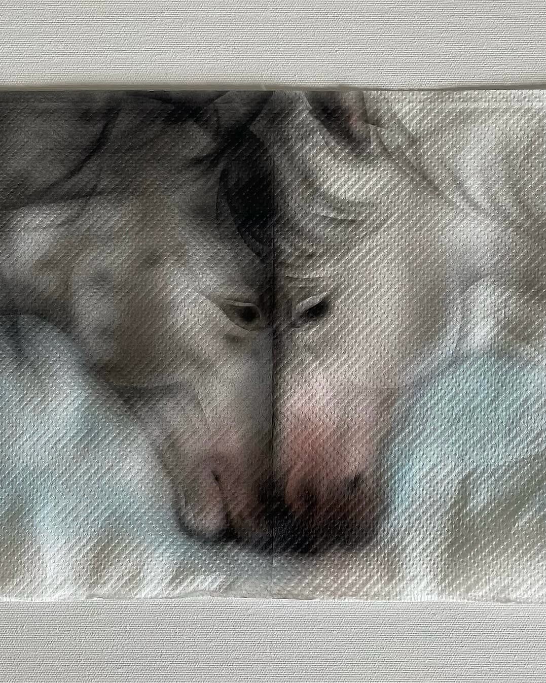 Thumbnail of www-instagram-com-p-dnehd3pieh9 14