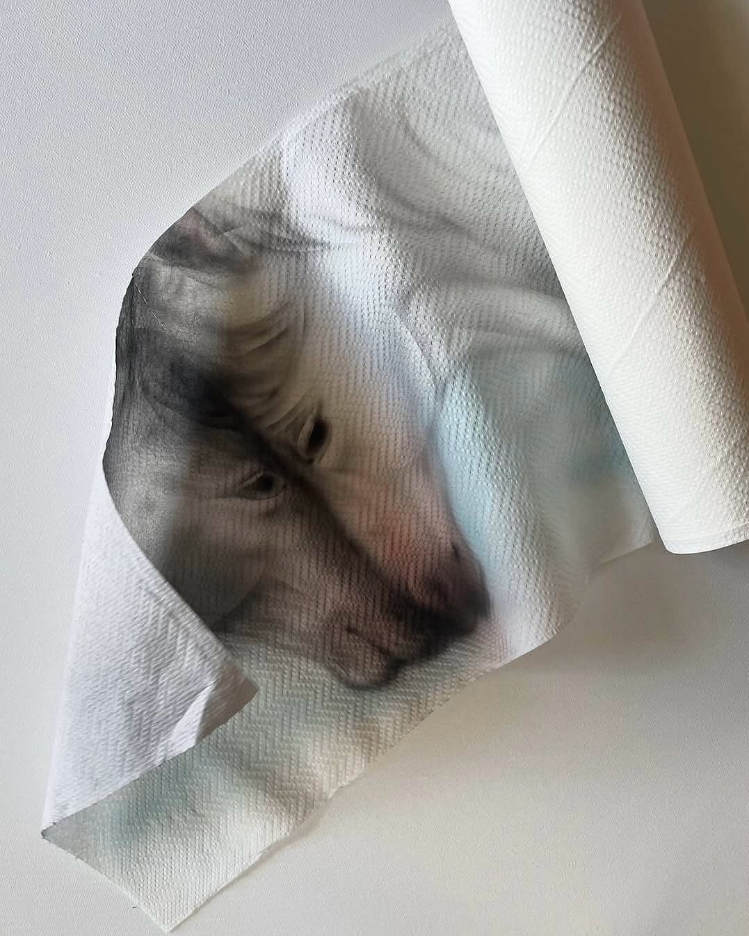 Thumbnail of www-instagram-com-p-dnehd3pieh9 15