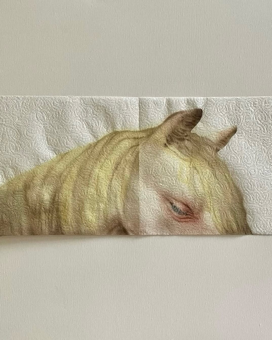 Thumbnail of www-instagram-com-p-dnehd3pieh9 2