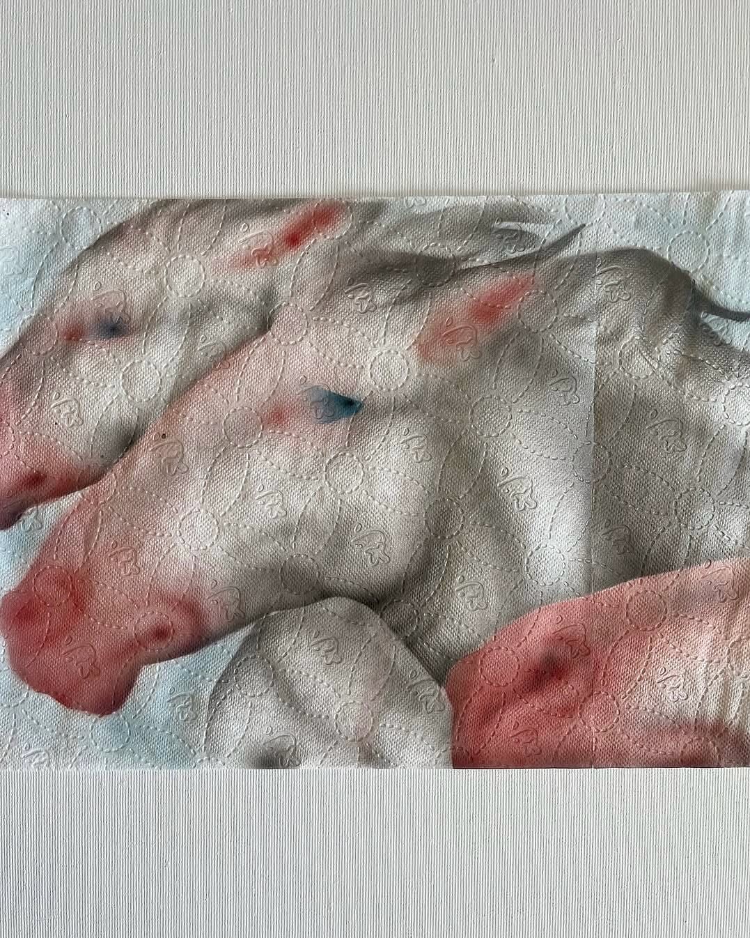 Thumbnail of www-instagram-com-p-dnehd3pieh9 5