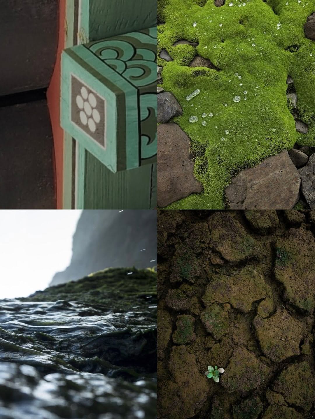 Thumbnail of www-instagram-com-p-dnfvgtmpplj 2