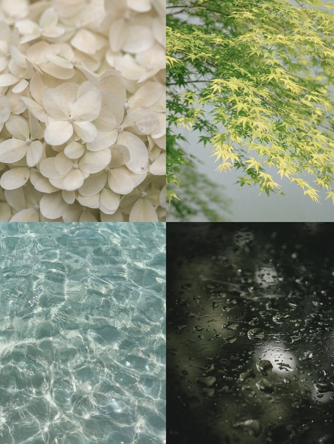 Thumbnail of www-instagram-com-p-dnfvgtmpplj 4