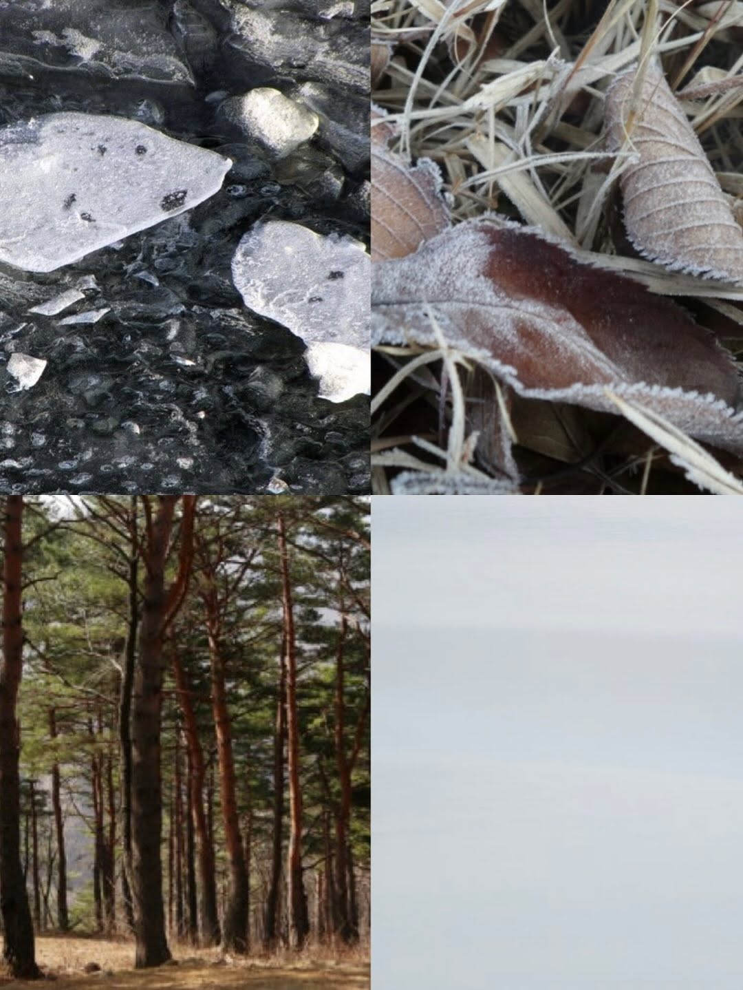 Thumbnail of www-instagram-com-p-dnfvgtmpplj 8