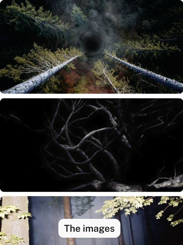 Thumbnail of www-instagram-com-p-dnlxjrzrwb7 3