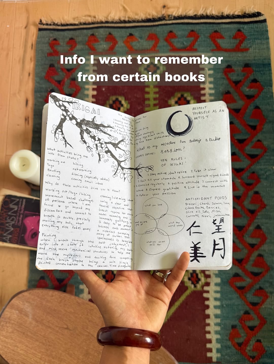 Thumbnail of p-dnmofwxplac-b699f60ff9934cae 3