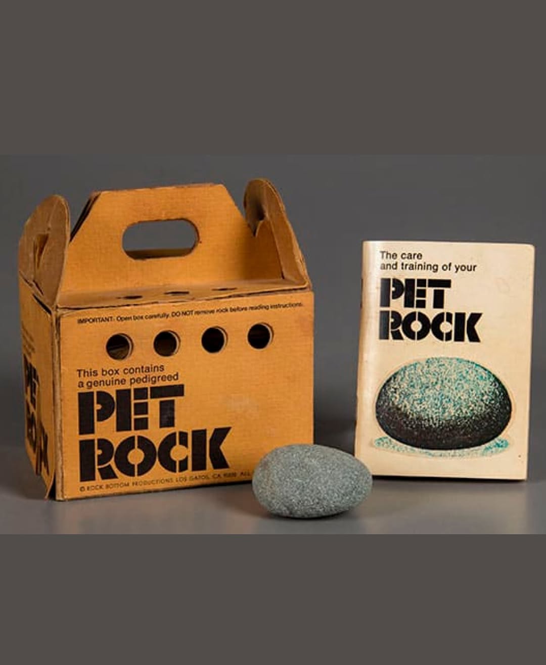 Thumbnail of www-instagram-com-p-dnqwr5iu8zm 1