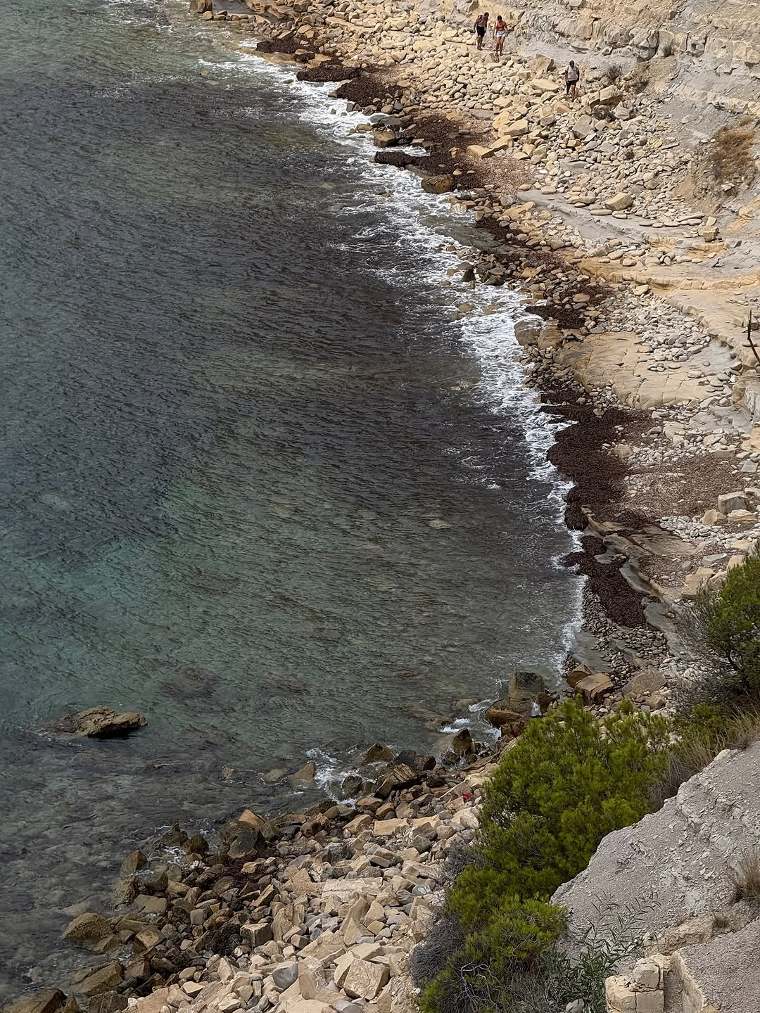 Thumbnail of www-instagram-com-p-dnx5vrnuca4 5