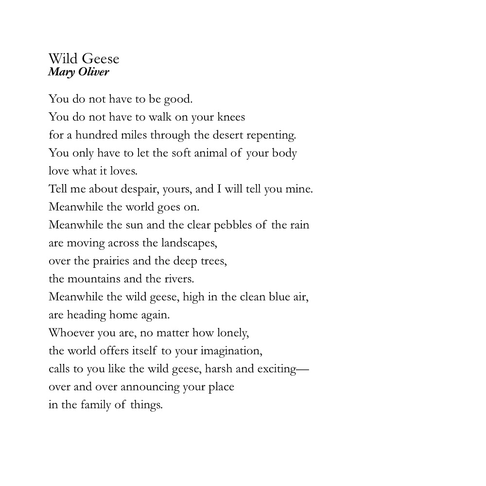 Thumbnail of www-instagram-com-p-dobm-ige3bp 1