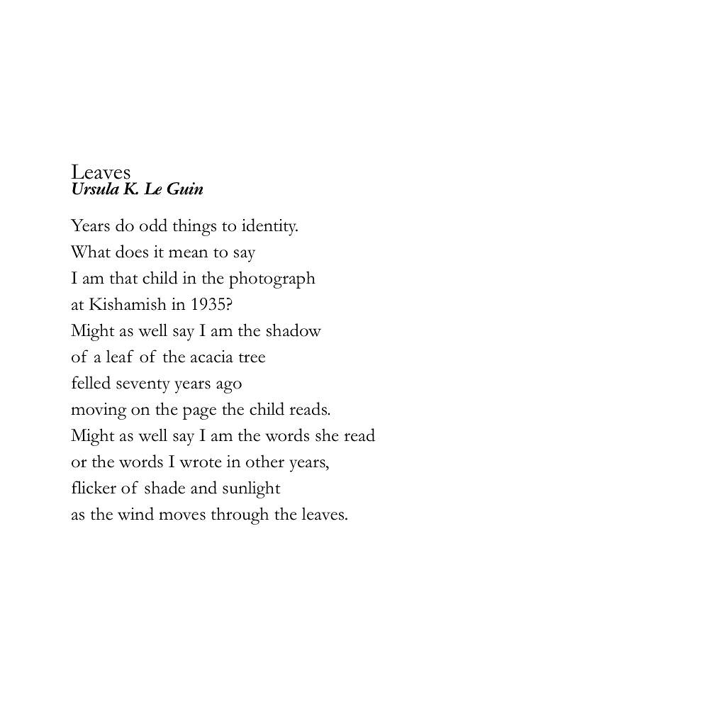 Thumbnail of www-instagram-com-p-dobm-ige3bp 5