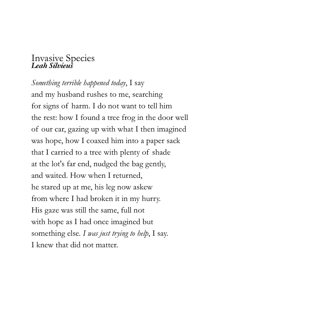 Thumbnail of www-instagram-com-p-dobm-ige3bp 7