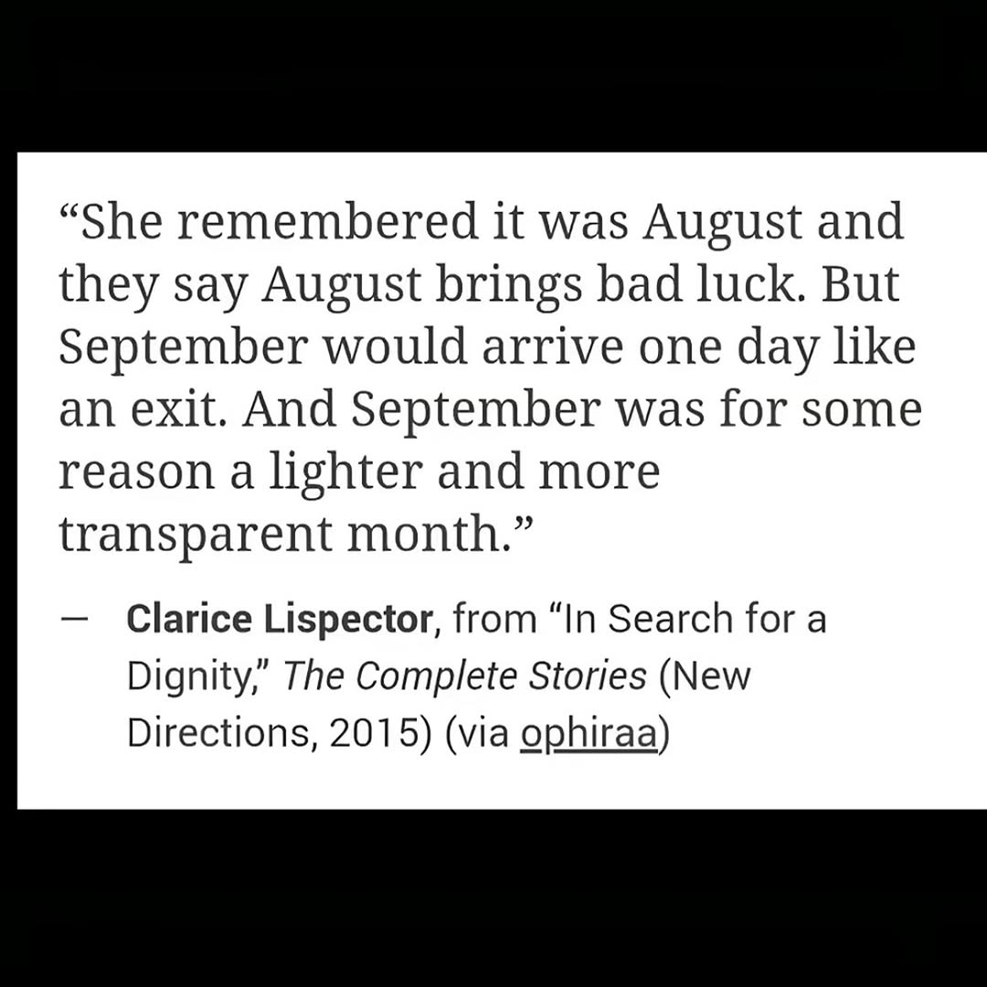 Thumbnail of www-instagram-com-p-doclgu0cbcr 10