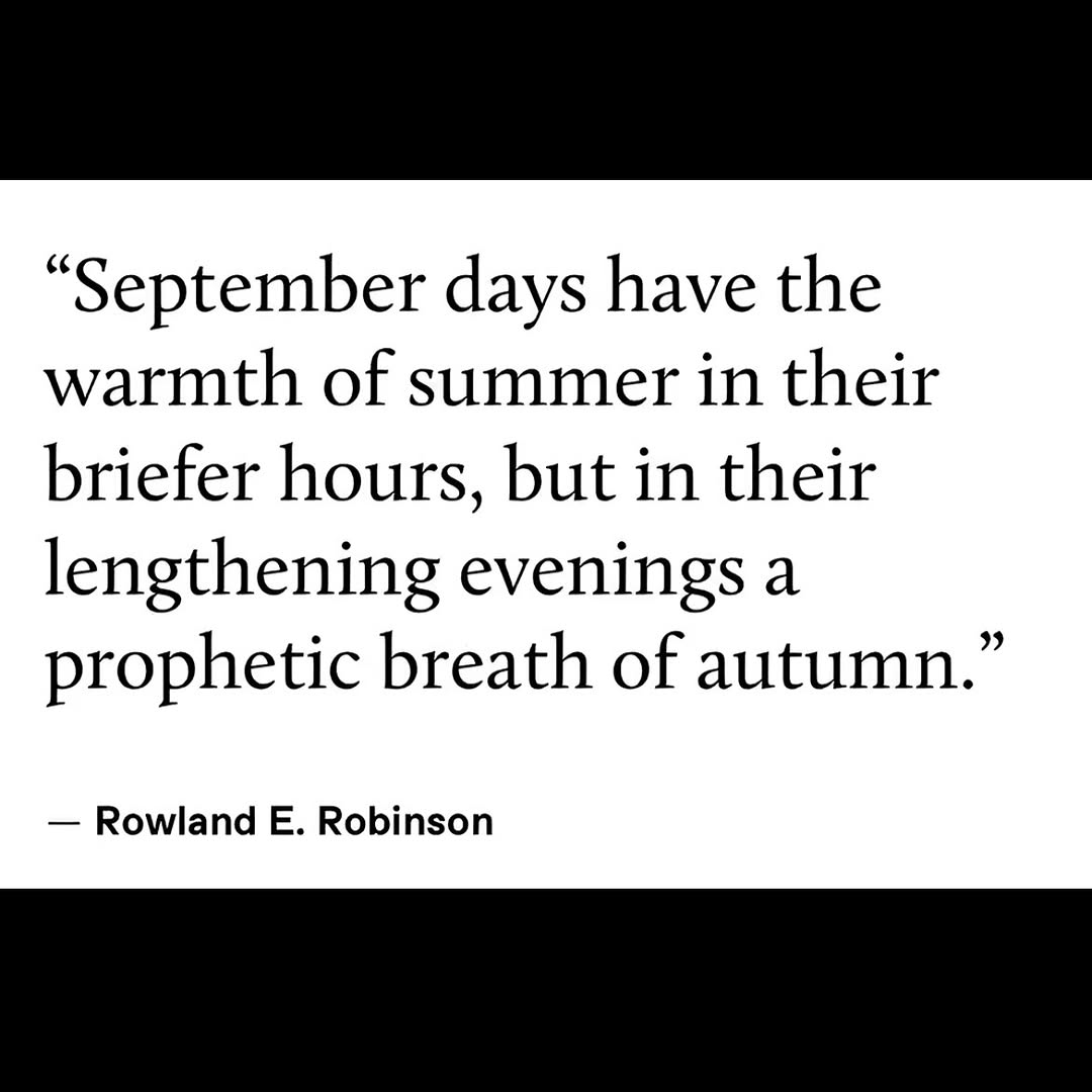 Thumbnail of www-instagram-com-p-doclgu0cbcr 13