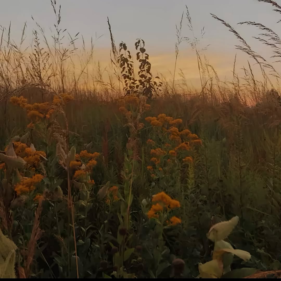 Thumbnail of www-instagram-com-p-doclgu0cbcr 2