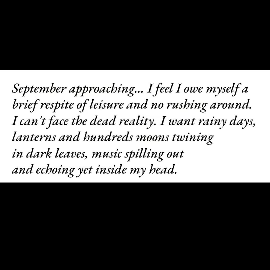 Thumbnail of www-instagram-com-p-doclgu0cbcr 4