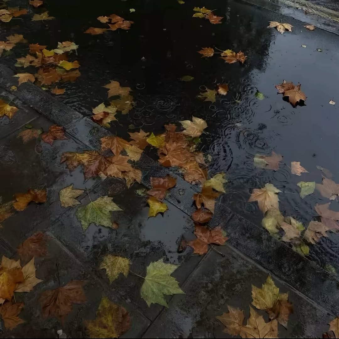 Thumbnail of www-instagram-com-p-doclgu0cbcr 5