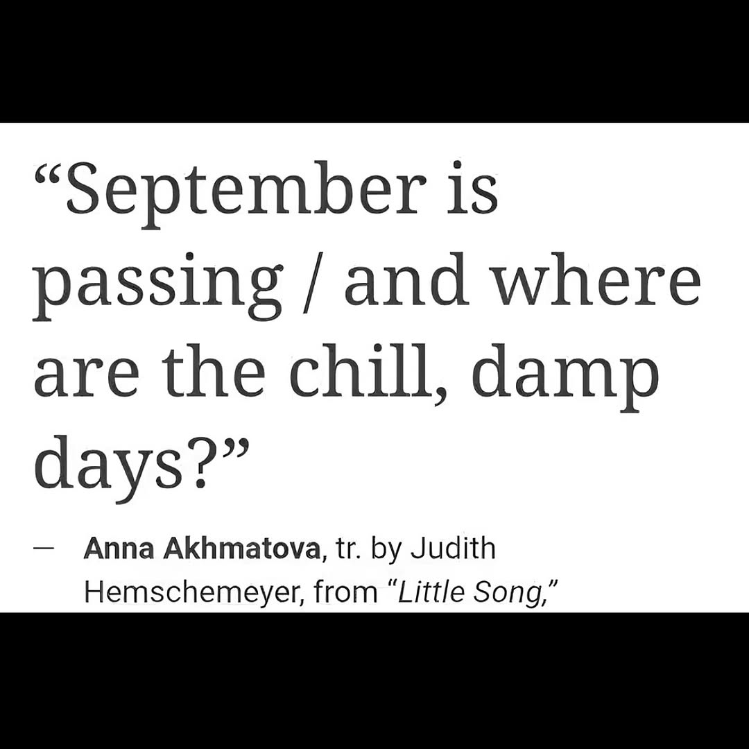 Thumbnail of www-instagram-com-p-doclgu0cbcr 9