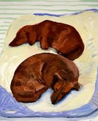 Thumbnail of instagram-c1dd2527af70448c 8