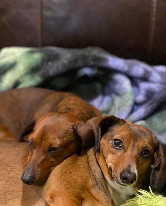 Thumbnail of instagram-c1dd2527af70448c 9