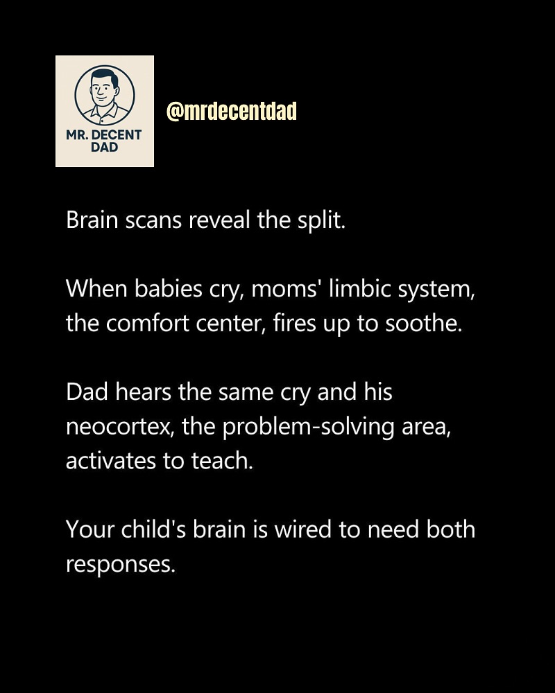 Thumbnail of www-instagram-com-p-dokf0lzkubo 2