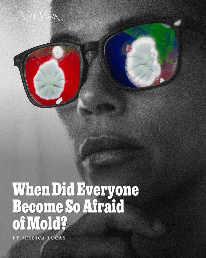 Thumbnail of www-instagram-com-p-dooei7wdibp 0