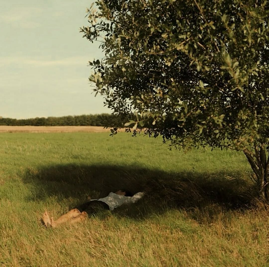 Thumbnail of instagram-c25543874dc846a0 0