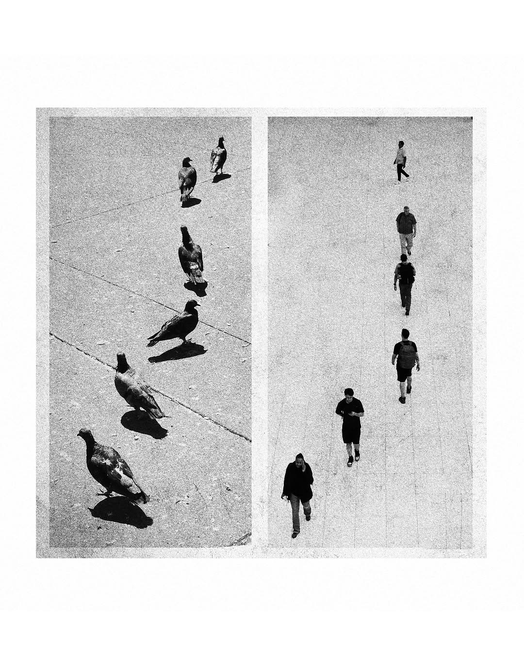 Thumbnail of www-instagram-com-p-dovj9igctky 1