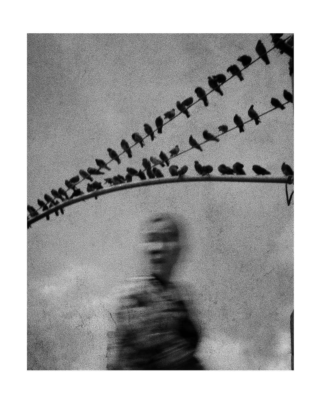 Thumbnail of www-instagram-com-p-dovj9igctky 7