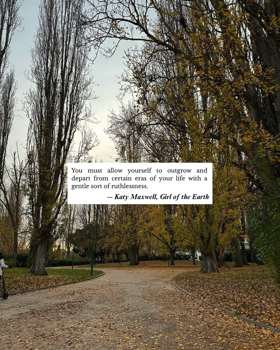 Thumbnail of www-instagram-com-p-dolhomkccdo 1