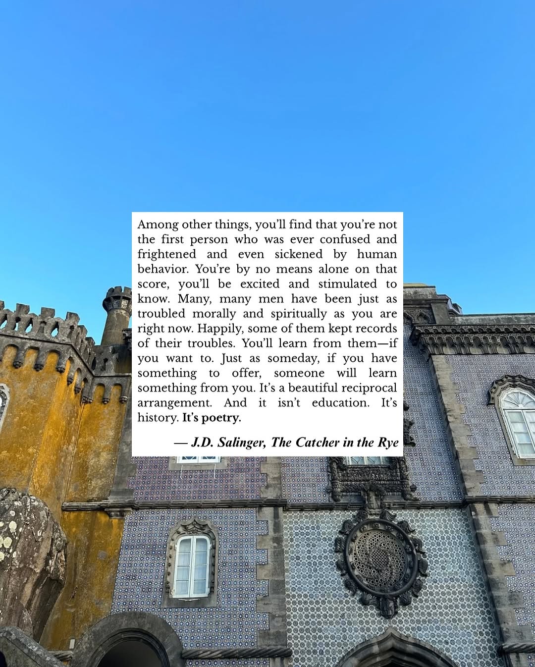 Thumbnail of www-instagram-com-p-dolhomkccdo 10