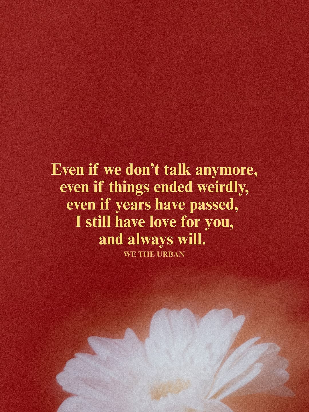 Thumbnail of www-instagram-com-p-dol3yvrjx6i 14