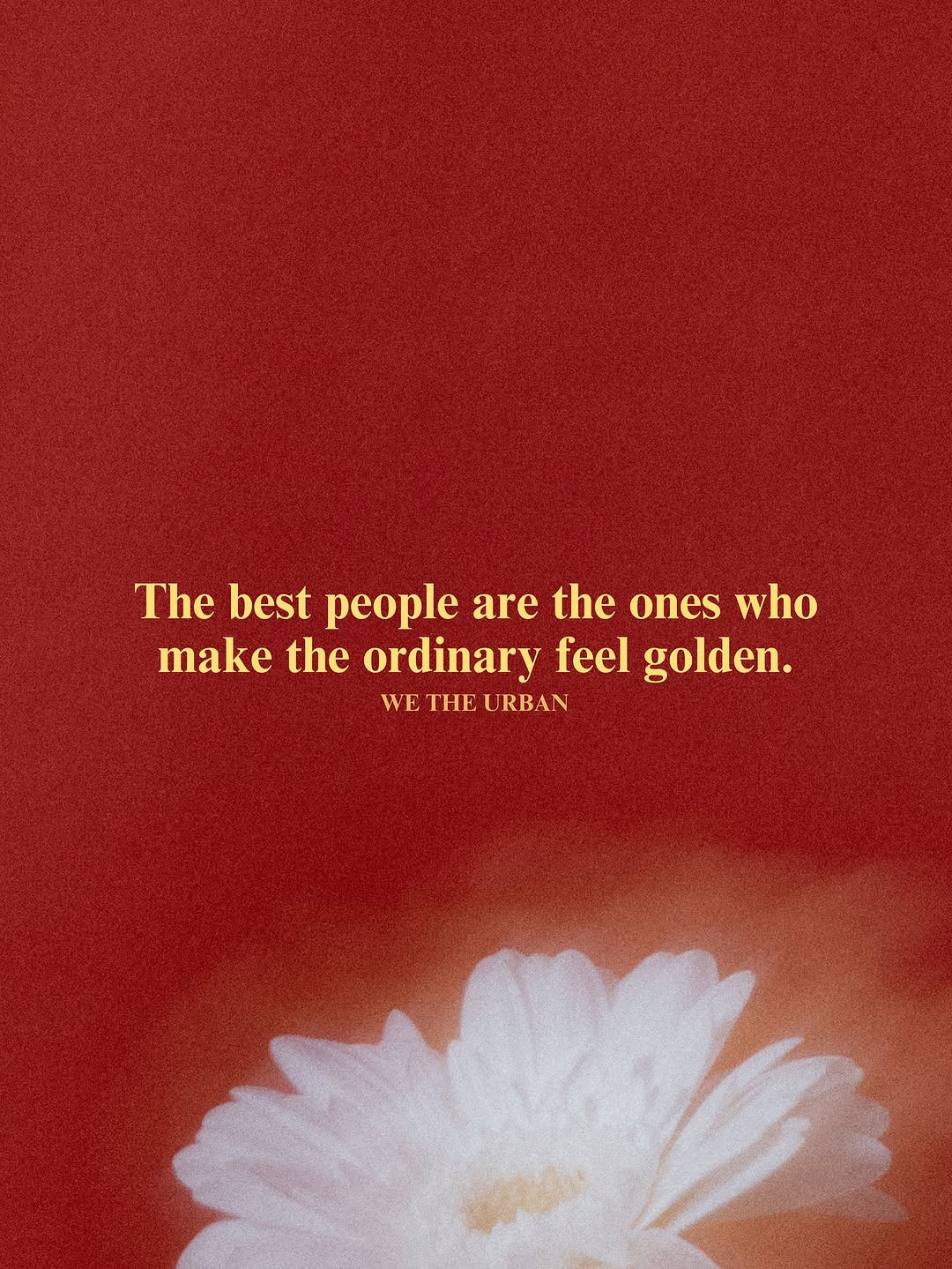 Thumbnail of www-instagram-com-p-dol3yvrjx6i 4